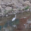 백로산장 이미지