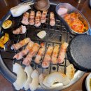탄관마 이미지