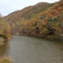 삼원수