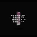 검정치마- EVERYTHING 이미지