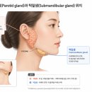 대전침샘보톡스 귀밑 부어오름, 살인 줄 알았는데 침샘 비대증? 원인부터 후기 주의사항까지 총정리!
