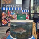 선릉회 강남에서 즐기는 진짜 숙성회 -새벽밤바다 강남본점- 제철 모듬숙성회를 즐긴 솔직후기
