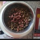 (주)팻온라인 이미지