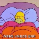25년 1월 2주차