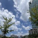 속초자연산해수산물 | 오이도 난전시장 오이도 수산물 직매장 주차 금요일 후기 갑오징어 광어 가격