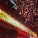 꼬치미 - 당진시 밤절로 42-147 | 합정 맛집 | 합정 벚꽃길 양고기 맛집 로우샹로우 내돈내산 솔직후기(웨이팅,메뉴)