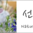 남구-073 네이버블로그