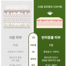 고마워 강아지 | 강아지비누 머스펫천연비누로 구름이 목욕한 후기 알려드릴께요