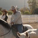 후안목장 이미지