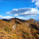 "앉아서 10분이면 해발 820m 정상도착해요" 60대 부모님도 무리없는 가을 풍경 명소 이미지