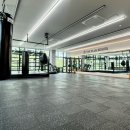 더플러스 복싱 이미지