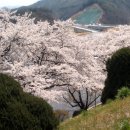 추풍령(부산)휴게소 이미지