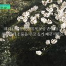 네번째계절