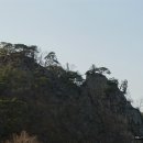 감자바위 이미지