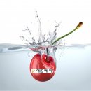 바버펫 | 에듀베리 교육 연구소가 궁금하신 분들을 위한 <Q &amp; A>