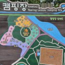남해 앵강다숲, 가을 꽃무릇과 함께한 힐링 산책