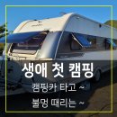 동안동카 | 안동 차박 캠핑 길안천지생태공원 첫 캠핑 후기