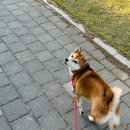 친오애아파트경로당 이미지