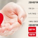 한우고향 이미지