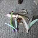 부산 궁팡 궁디팡팡 캣페스타 후기_250329