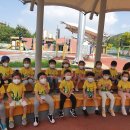 삼흥유치원 이미지