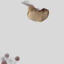 (주)그린퓨어 이미지