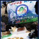 정아과일 티스토리