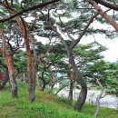 서포리관광지 이미지