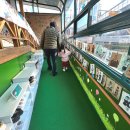 웅지어린이집 이미지