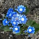 서울숲4 이미지