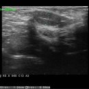 대치수동물병원 이미지