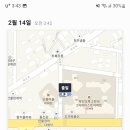아델라스킨