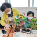 노곡1리 이미지