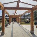 노경보차 | 경주 한옥 감성 여행 경주 한옥 대형 카페 노경보차 라파 내돈내산 방문기