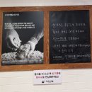 가츠앤밀 이미지