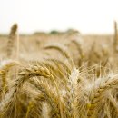 시골살이마을 이미지