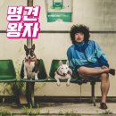 명견 이미지