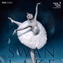 국립발레단 ’백조의 호수’ 이미지
