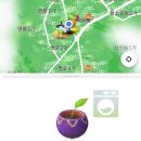 보라세탁소 이미지