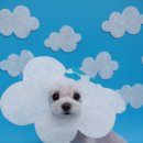 Groomer Ameri 이미지