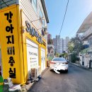 SM펫살롱 이미지