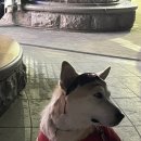 찬*이* 이미지