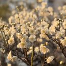 (주)조이클 이미지