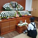 성인천한방병원 이미지