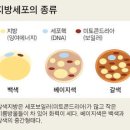 리지필라테스 - 강동구 양재대로 1641 | 리지필라테스