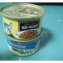 솔펫 동물병원 이미지