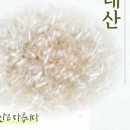 모두약품 주식회사 이미지