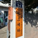 제주도조용한게스트하우스산방산 | [산방산 게하 추천] 제주도 조용한 게스트하우스 산방산점 제조게하 연박 후기 (+주차 주의사항)