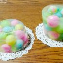 동그리솝 이미지