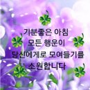 3월6일 수요일 경상방 불켜요 이미지